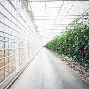 Metal Hanging Lights